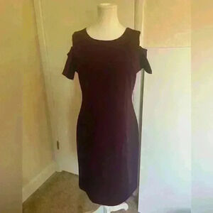 Tommy Hilfiger NWT Size 10 Beautiful PlumDress